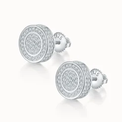 Double Hoop Round Moissanite Hip Hop Stud Earrings